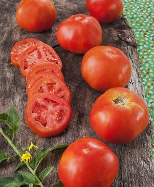 Rutgers Heirloom Tomato